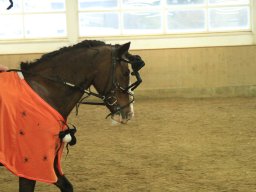 img_7974_web